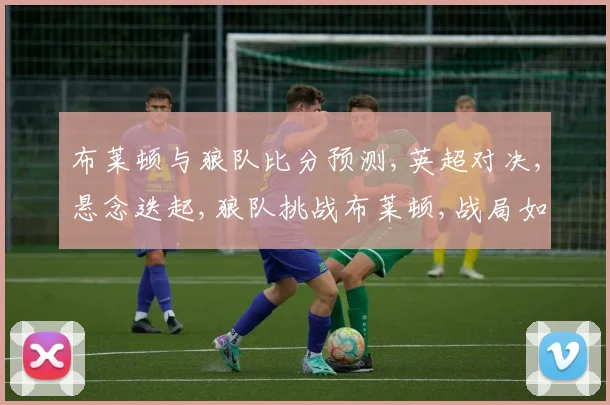布莱顿与狼队比分预测,英超对决,悬念迭起,狼队挑战布莱顿,战局如何