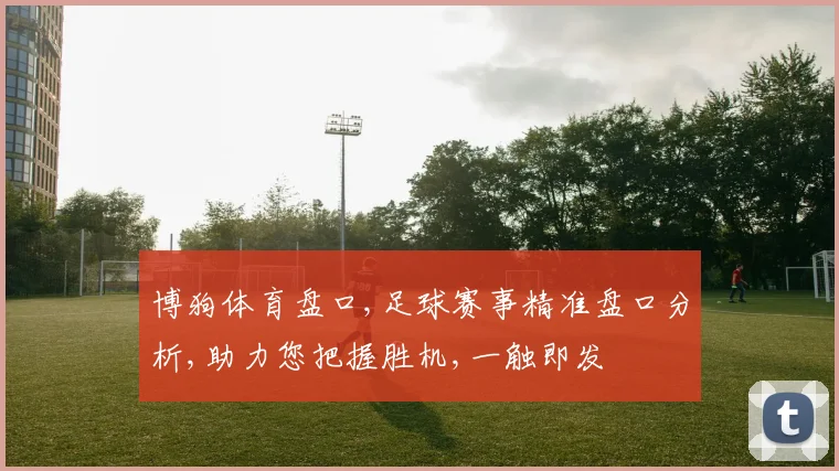 博狗体育盘口,足球赛事精准盘口分析,助力您把握胜机,一触即发