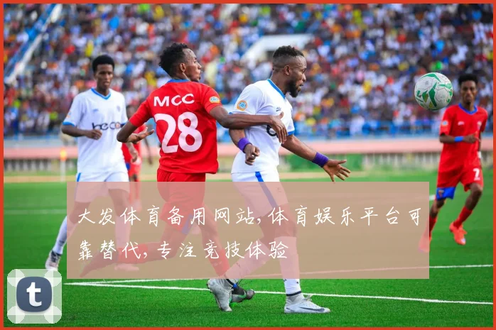 大发体育备用网站,体育娱乐平台可靠替代,专注竞技体验