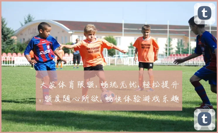 大发体育限额,畅玩无忧,轻松提升,额度随心所欲,畅快体验游戏乐趣,赢取丰厚回报