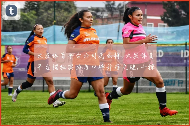 大发体育平台公司怎么样,大发体育平台揭秘实力与口碑并存之谜,一探究竟